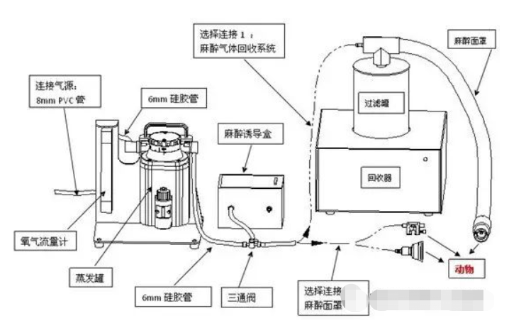 原理图