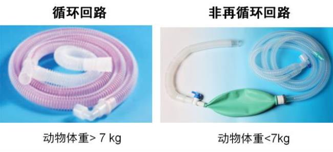 呼吸回路的选择