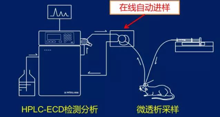 电化学在线检测分析