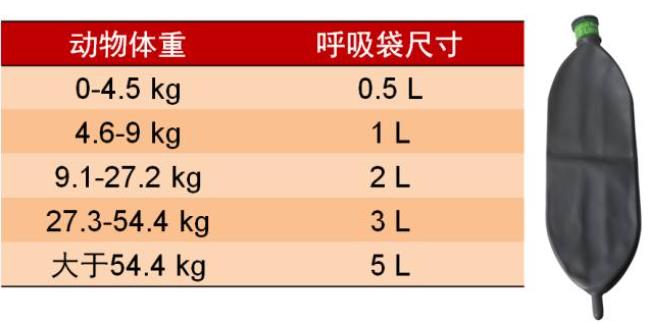 呼吸袋的选择