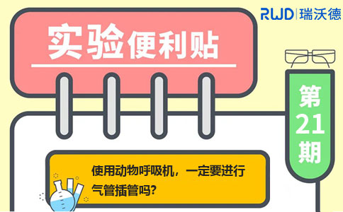 使用动物呼吸机，一定要进行气管插管吗？
