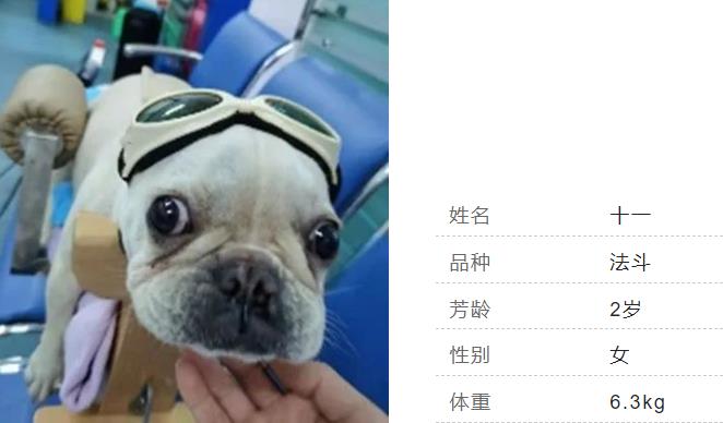 宠患信息