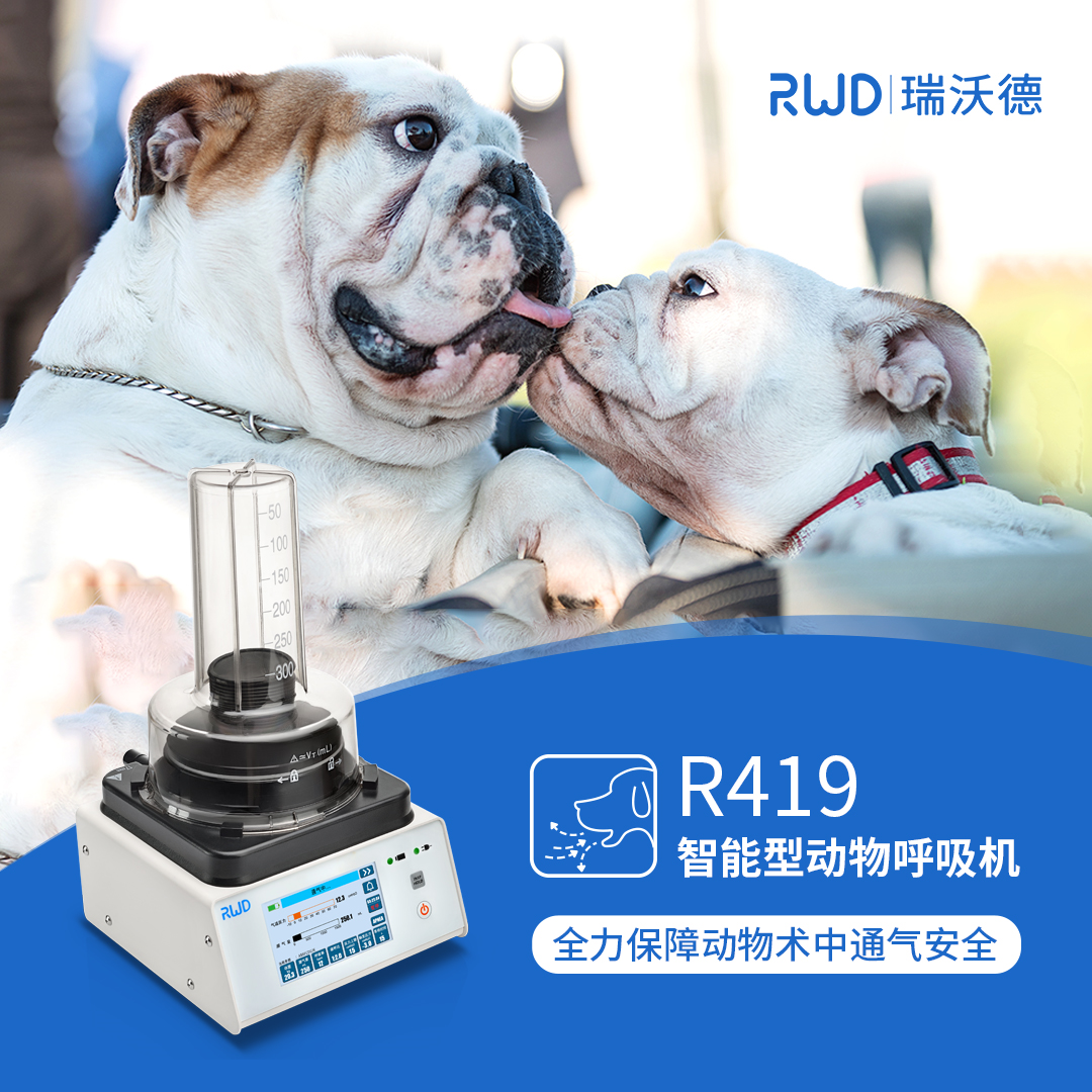动物呼吸机