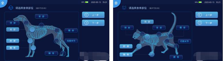 犬猫治疗推荐方案