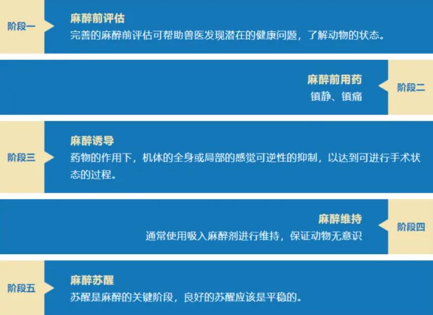 吸入麻醉五阶段