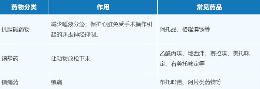 麻醉前给药