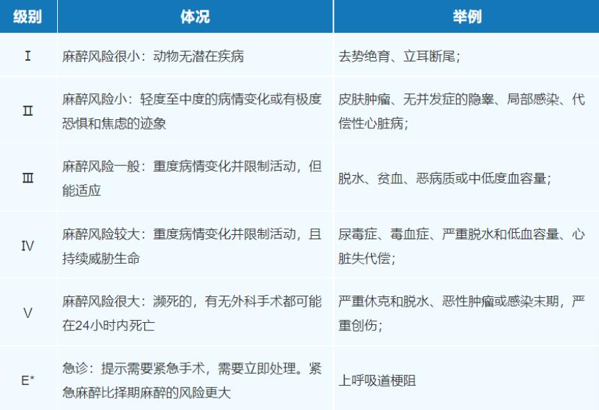 麻前动物评估