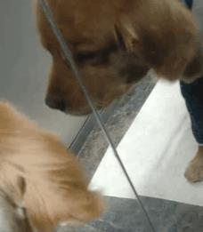 激光理疗仪治疗