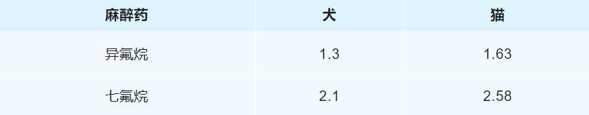 最低肺泡有效浓度
