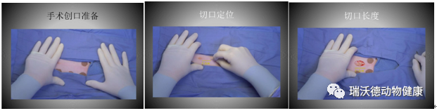 手术创口定位