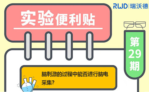 便利贴正文图