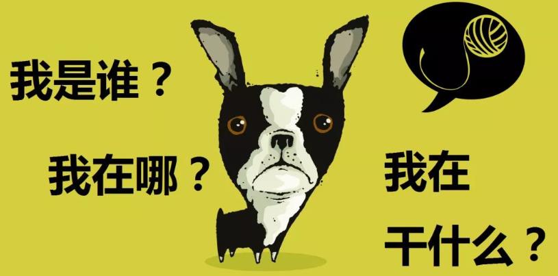 行为变化