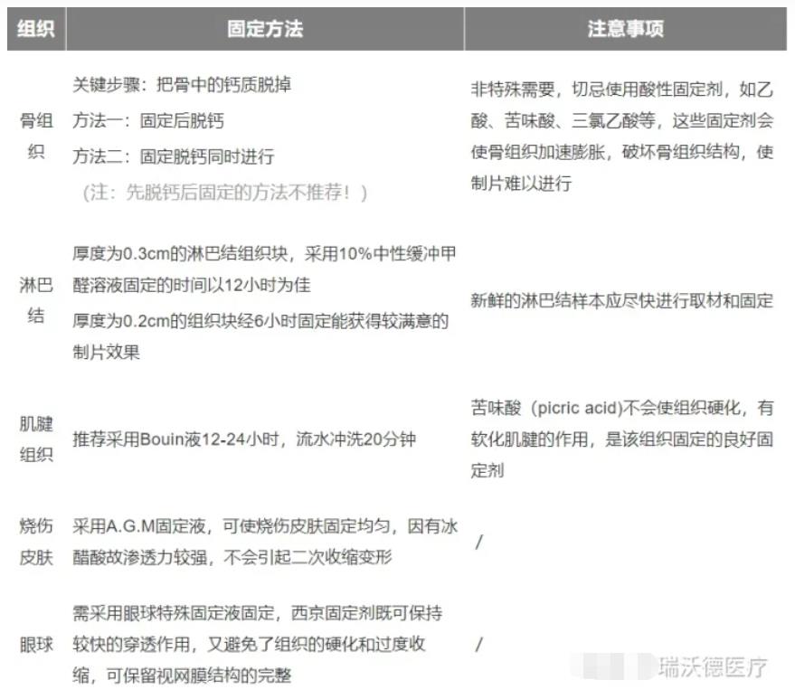 不同组织固定方法