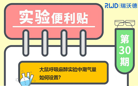 大鼠呼吸麻醉实验中潮气量如何设置？