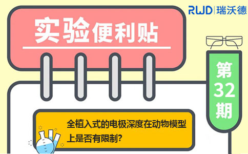 全植入式的电极深度在动物模型上是否有限制？
