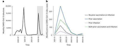 研究人群SARS-CoV-2感染和疫苗接种情况