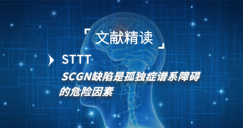 SCGN缺陷是孤独症谱系障碍的危险因素