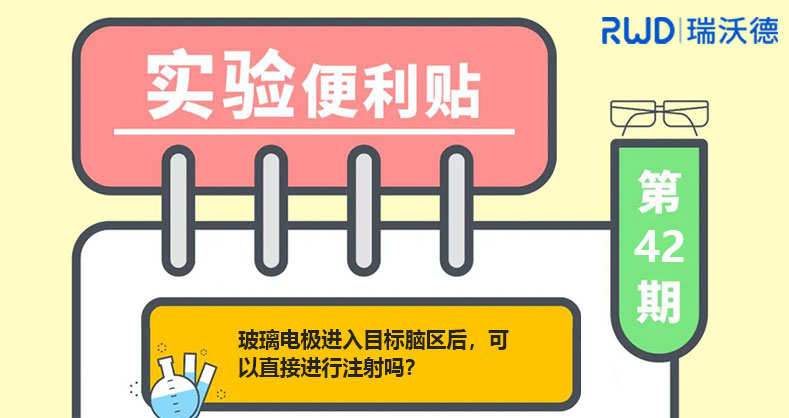 光纤记录病毒注射实验时，玻璃电极进入目标脑区后，可以直接进行注射吗？