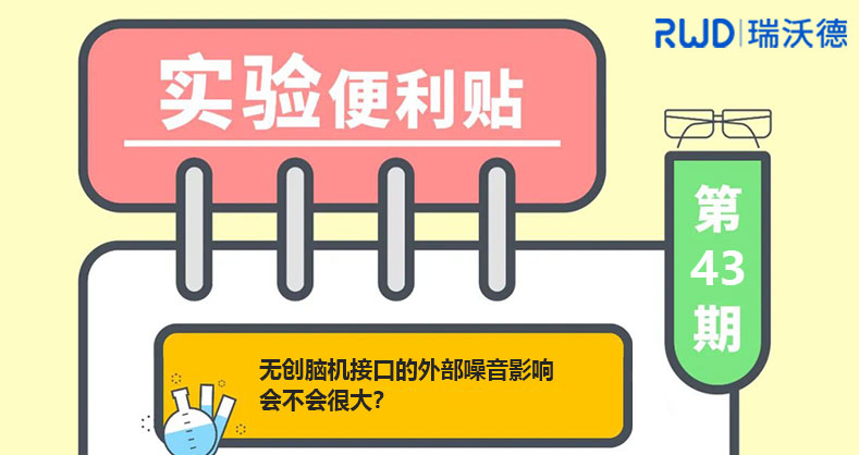 无创脑机接口的外部噪音影响会不会很大？
