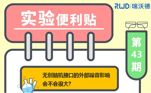 无创脑机接口的外部噪音影响会不会很大？