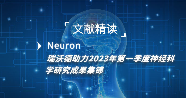 ob体育官网登录界面
助力2023年第一季度神经科学研究成果集锦