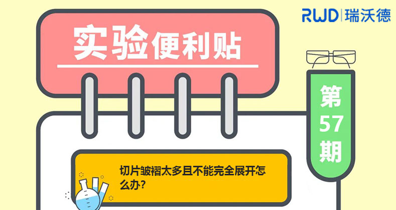 切片皱褶太多且不能完全展开怎么办？
