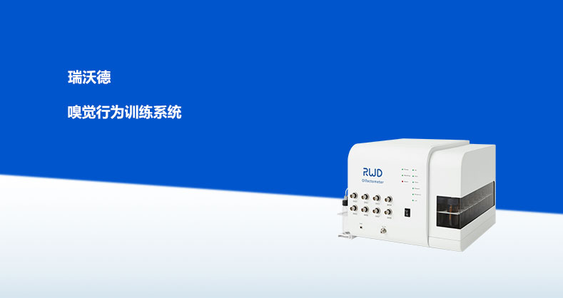 嗅觉行为训练系统