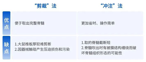如何提高脊髓组织冰冻切片质量？