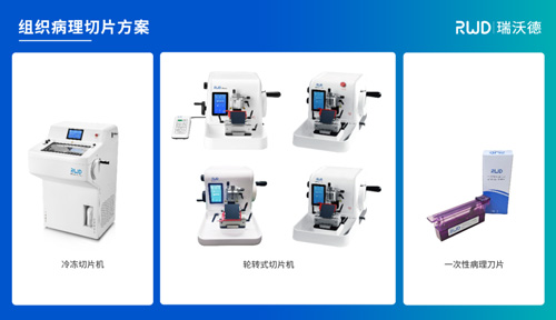 马小红/倪荣军团队发现睡眠剥夺对年轻和老年小鼠的小胶质细胞和行为表型影响不一样