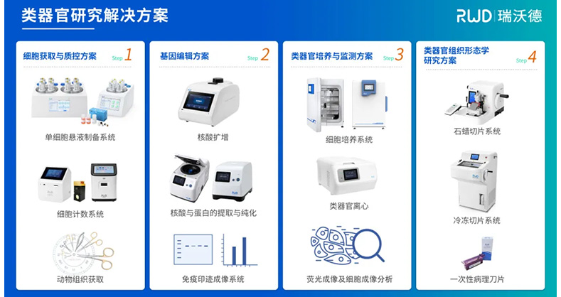 水凝胶3D细胞培养全流程干货