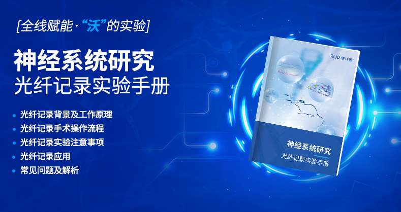 光纤记录实验手册神经系统研究
