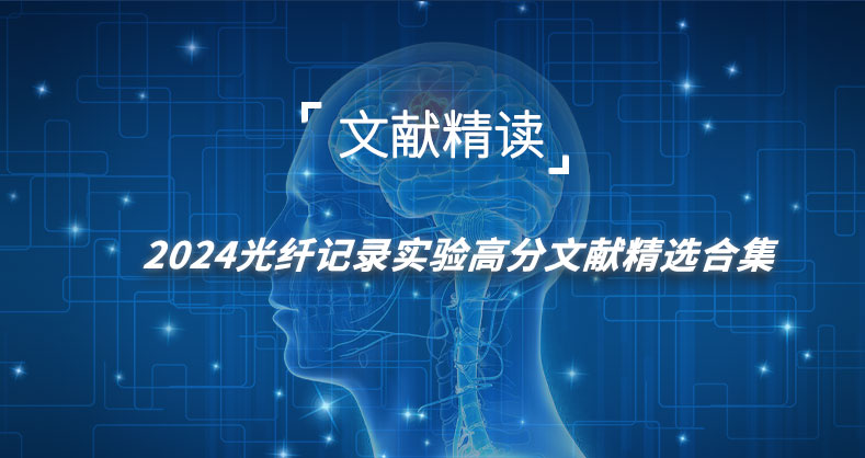 2024光纤记录实验高分文献精选合集